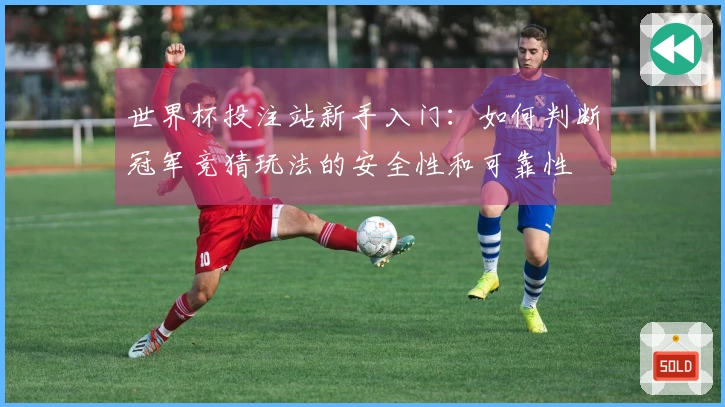 世界杯投注站新手入门：如何判断冠军竞猜玩法的安全性和可靠性