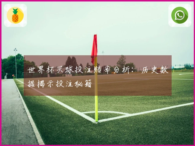 世界杯买球投注赔率分析：历史数据揭示投注秘籍