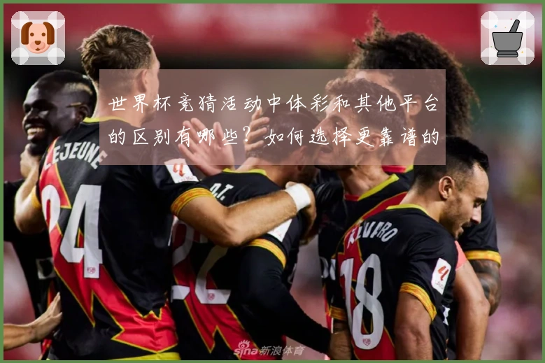 世界杯竞猜活动中体彩和其他平台的区别有哪些？如何选择更靠谱的下注渠道？
