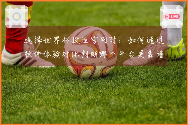 选择世界杯投注官网时，如何通过软件体验对比判断哪个平台更靠谱？