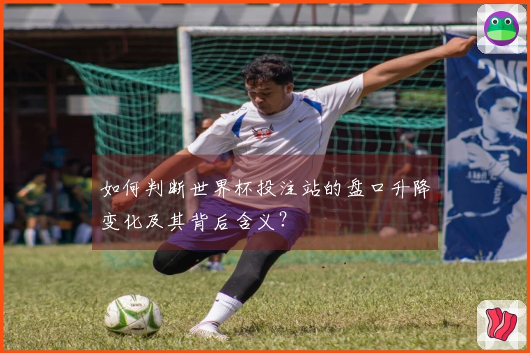 如何判断世界杯投注站的盘口升降变化及其背后含义？