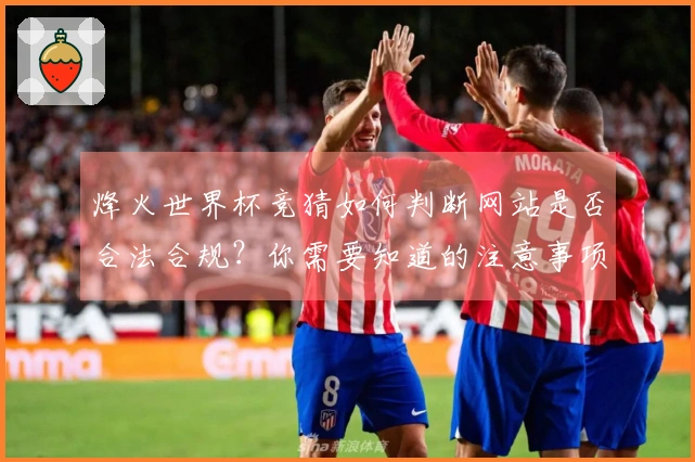 烽火世界杯竞猜如何判断网站是否合法合规？你需要知道的注意事项