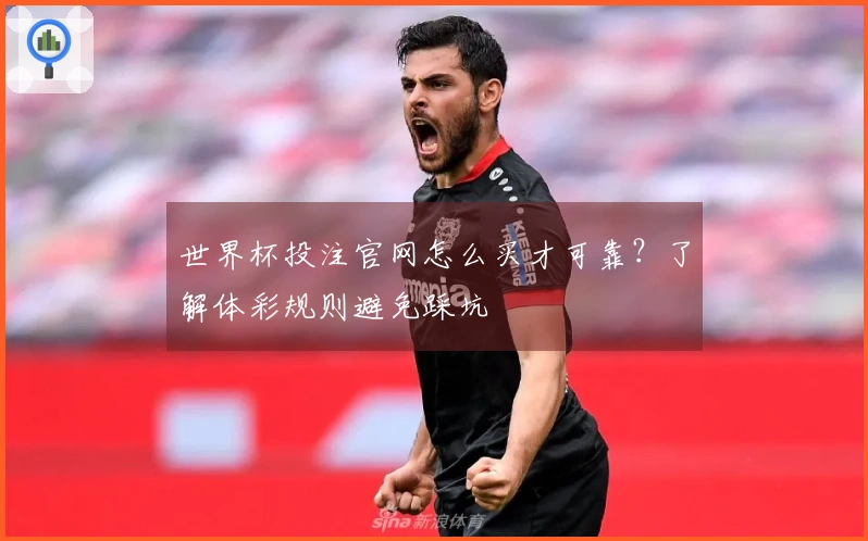 世界杯投注官网怎么买才可靠？了解体彩规则避免踩坑