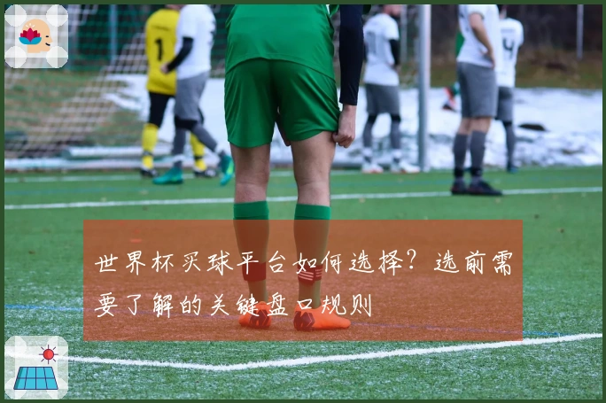 世界杯买球平台如何选择？选前需要了解的关键盘口规则