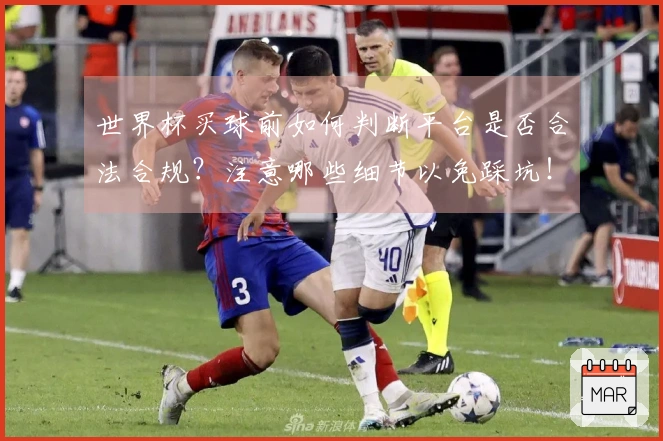 世界杯买球前如何判断平台是否合法合规？注意哪些细节以免踩坑！