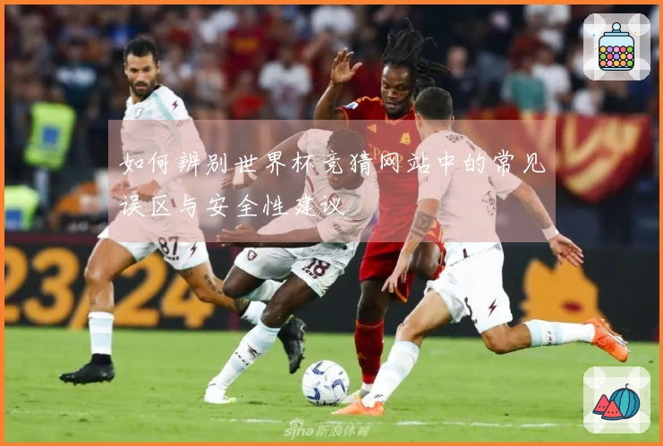 如何辨别世界杯竞猜网站中的常见误区与安全性建议