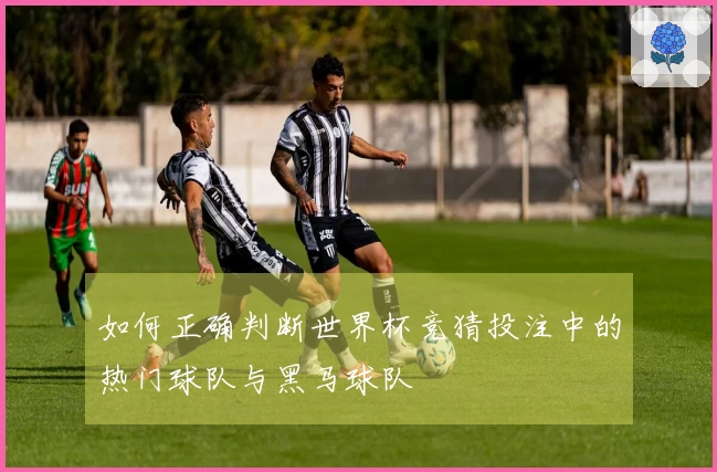 如何正确判断世界杯竞猜投注中的热门球队与黑马球队