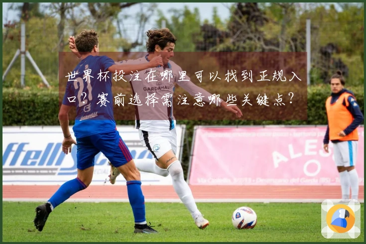 世界杯投注在哪里可以找到正规入口？赛前选择需注意哪些关键点？