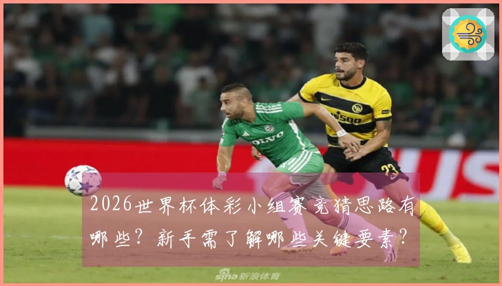 2026世界杯体彩小组赛竞猜思路有哪些？新手需了解哪些关键要素？