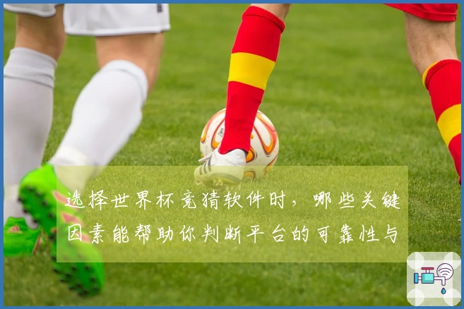 选择世界杯竞猜软件时，哪些关键因素能帮助你判断平台的可靠性与安全性