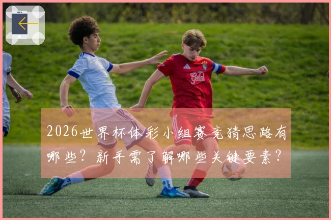 2026世界杯体彩小组赛竞猜思路有哪些？新手需了解哪些关键要素？