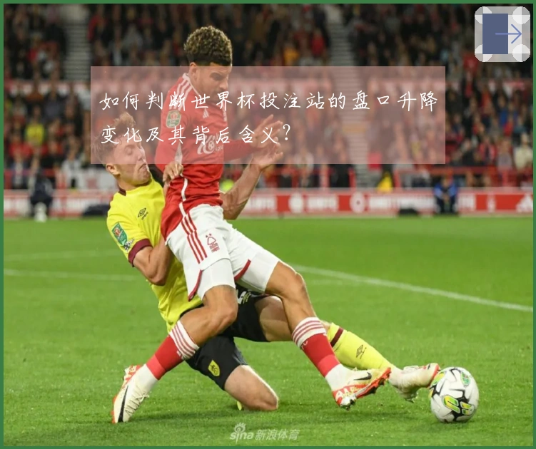 如何判断世界杯投注站的盘口升降变化及其背后含义？