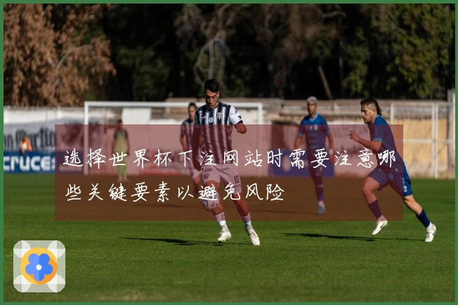 选择世界杯下注网站时需要注意哪些关键要素以避免风险