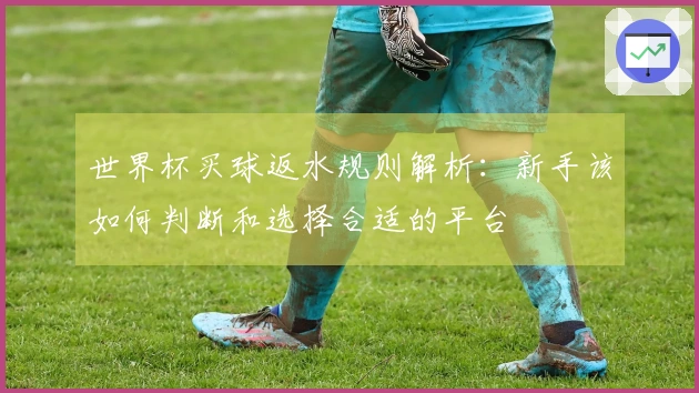 世界杯买球返水规则解析：新手该如何判断和选择合适的平台