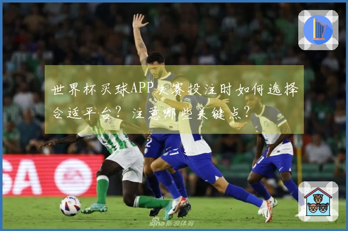 世界杯买球APP决赛投注时如何选择合适平台？注意哪些关键点？